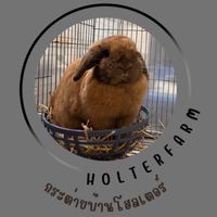 กระต่ายบ้านโฮลเตอร์🐰