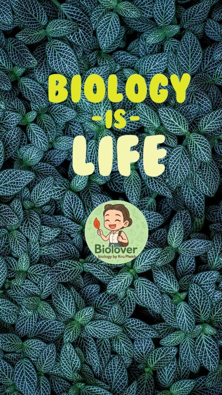 Biology 69