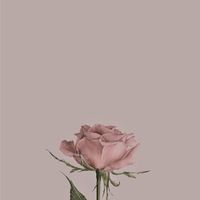 ランペといい感じに？？