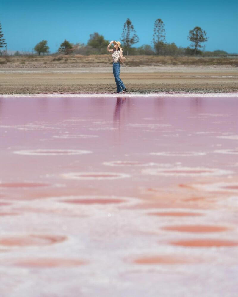 台南濕地懶人包｜七股鹽田濕地