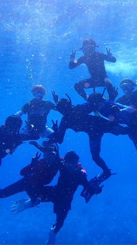 海洋研究会2026体験ダイビング