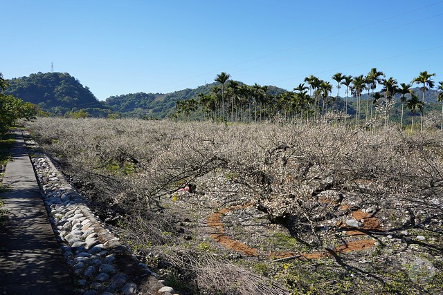 東勢云饌休閒庭園餐廳