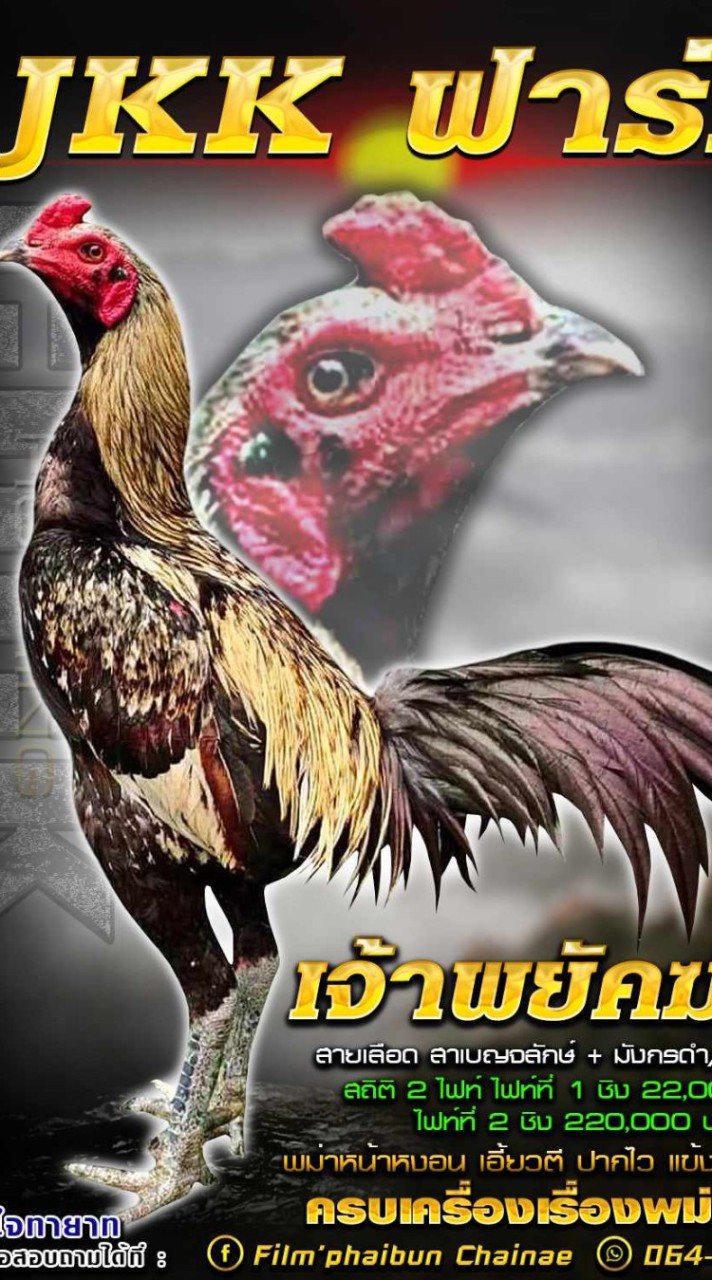 JKKฟาร์ม
