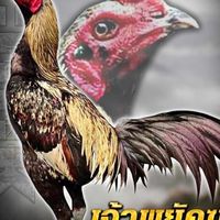 JKKฟาร์ม