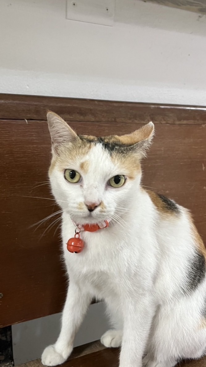 Ploy of Us - น้องพลอย