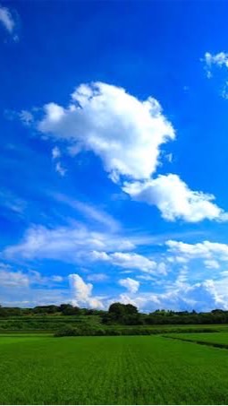 帝愛グループ