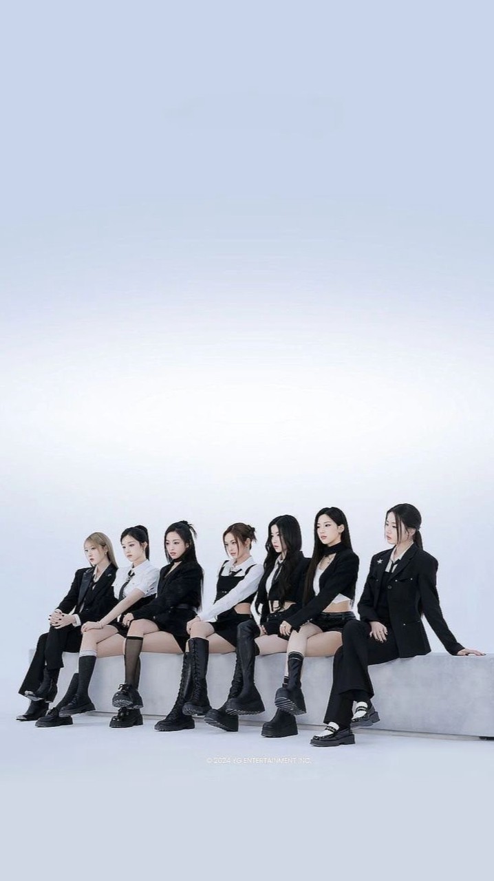 Neverland,Monstiez,Blink,Coer的粉絲圈