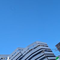 城西大学薬学部薬学科　