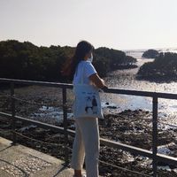 青蛙呱呱