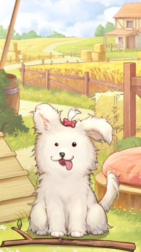 ＼( 'ω')／ﾋｨﾔｯﾊｧｧｧｧｧｧｧｱ！！！