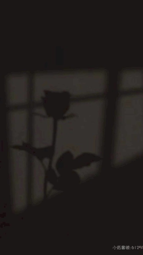 ^歆の處關係/追星/處cp/找家人小天地🐱&🐹、、