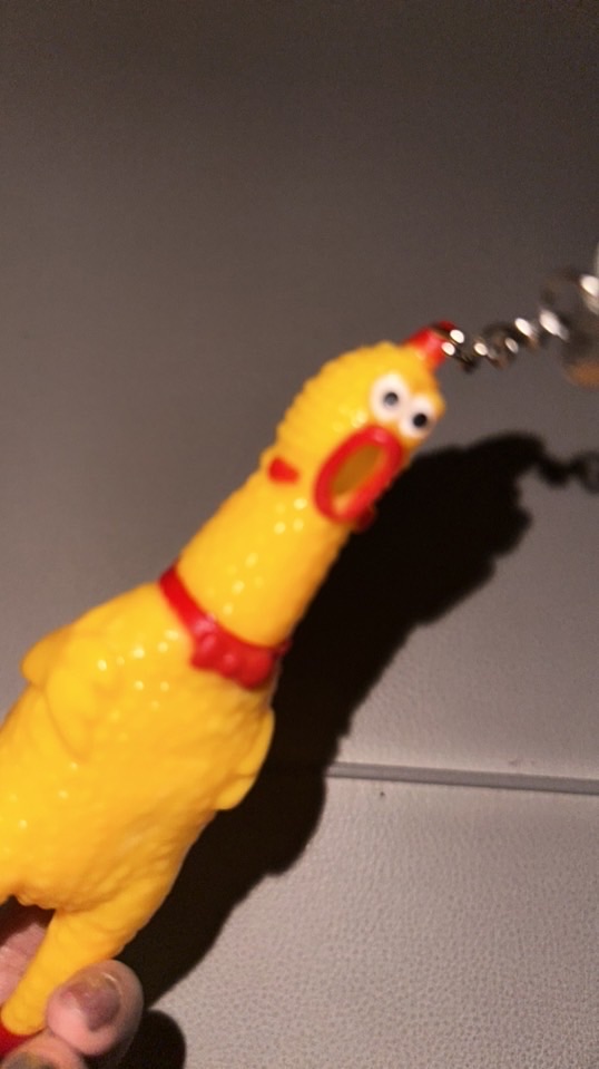 🐥⸒⸒ぱぷfam🐥⸒⸒