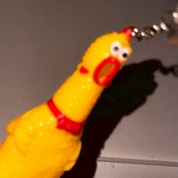 🐥⸒⸒ぱぷfam🐥⸒⸒