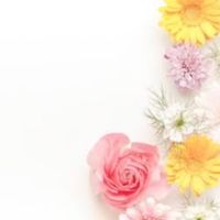ア イ ド ル と __ enst夢也