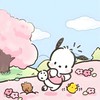 MO🐾東大門男女裝湊單/韓網代購🇰🇷
