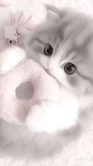 【学生限定】ネッ友つくろー‼️