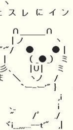 サメハロ組