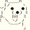 サメハロ組