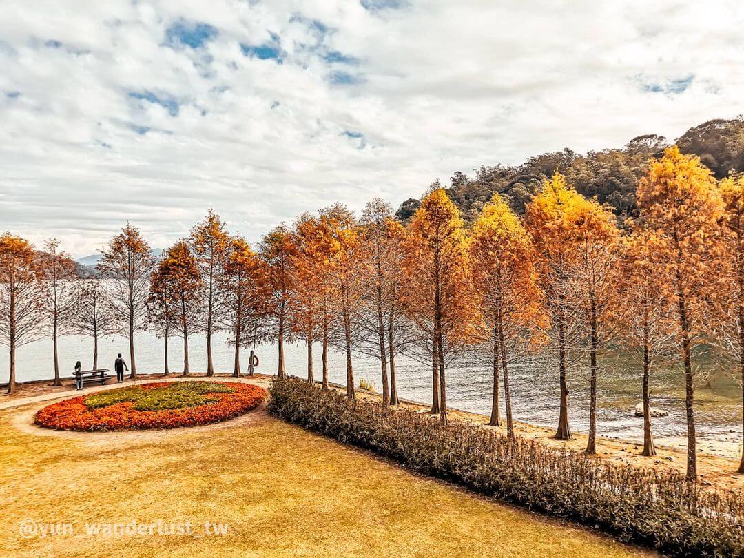 全台落羽松景點懶人包｜秋冬不可錯過的六大落羽松秘景，彷彿是一幅大自然的畫作