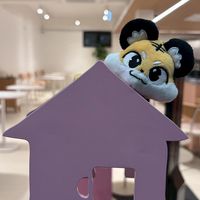 哈娜的藍色代購群