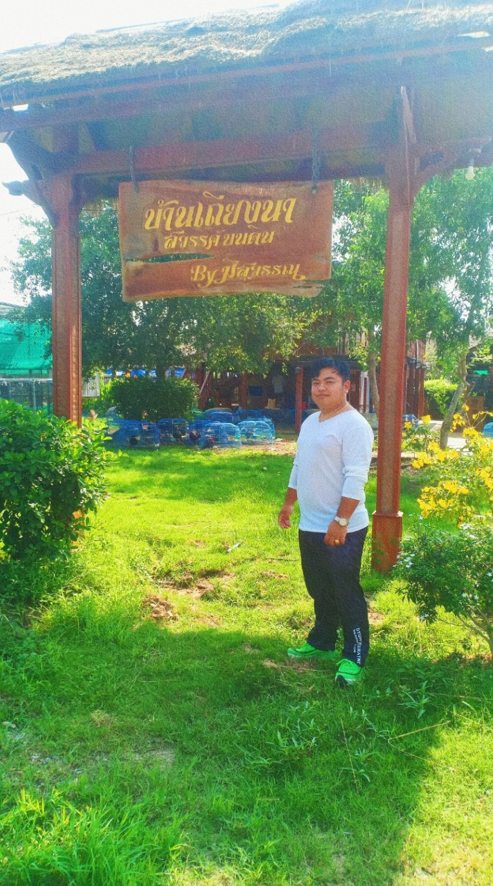 🐓🏡ซุ้ม ส.เพชรไพรบูรณ์ พม่าตอคม ส.มีสุวรรณ🏆💯