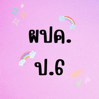ผปค ป.6/2566