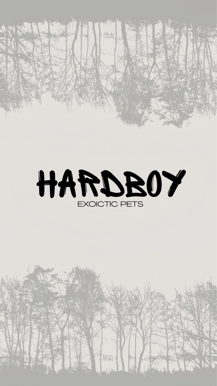 HARDBOY EXOTIC