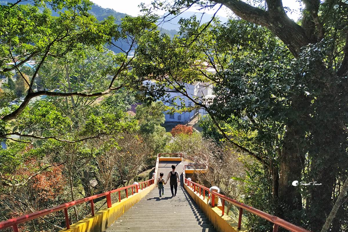 最快５分鐘輕鬆攻頂！新北９條懶人步道：台版「奧入瀨溪流」、絕美陰陽海