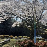 金丸電子回覧板