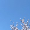 雑談、恋愛相談、なんでもよし！学生さん来てください！！