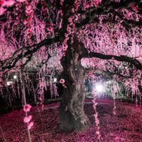 受験勉強はあなたのためにある