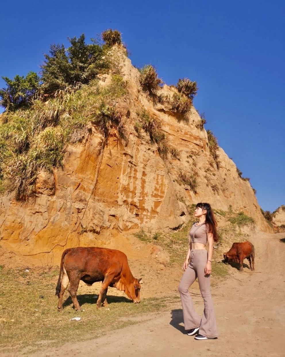 林口水牛坑 @rabbit Is Me O