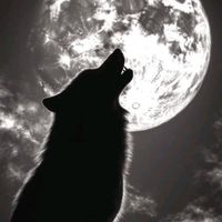 HPMI   人狼部屋🐺