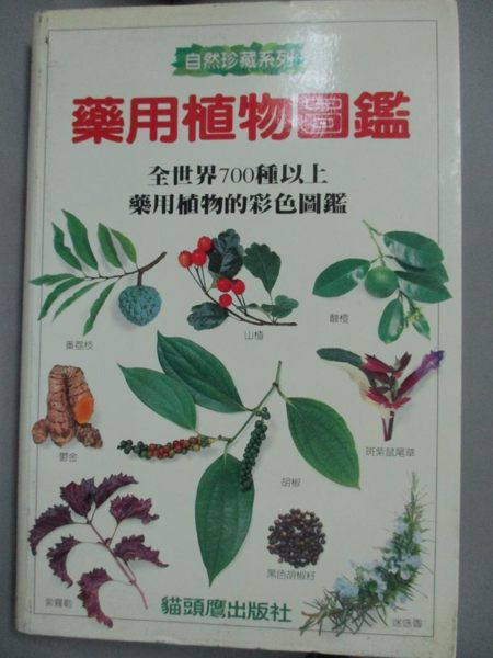 【書寶二手書T1／科學_HHX】藥用植物圖鑑_萊斯莉布倫尼斯