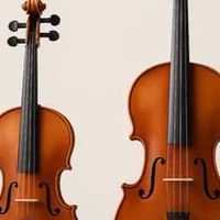 Viola Lessons by Pluem