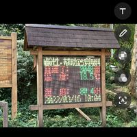員林到溪頭、杉林溪行