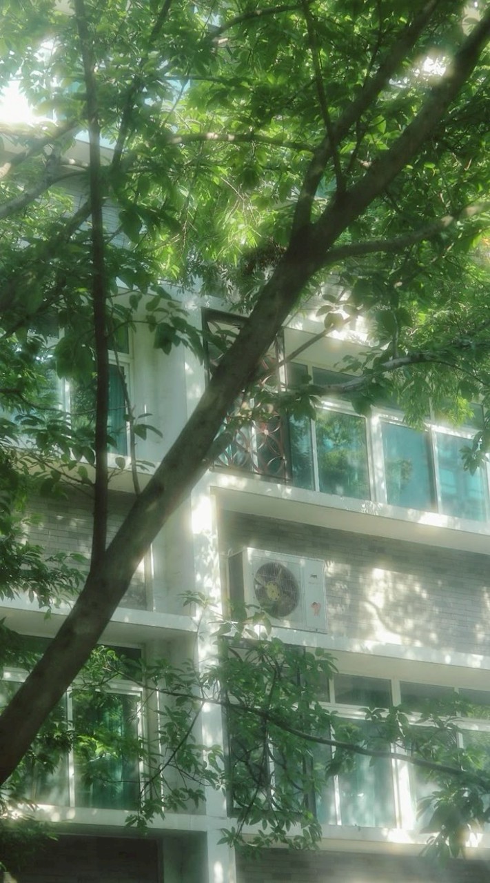 ︎︎　𝟑𝐮𝐪𝐐: