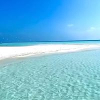 戦争・日本と海外🍀憲法改正 ・IHR・WCH・WEF・グローバリズム🍀雑多部屋