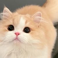 สำหรับแอด มิน งับ