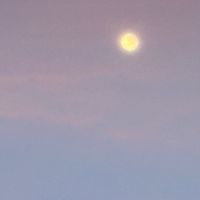 まじヤバ&我々だ+α