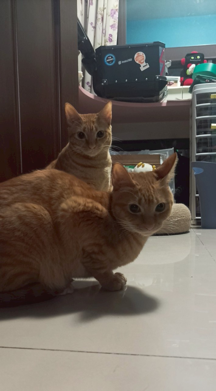嘻嘻，不嘻嘻