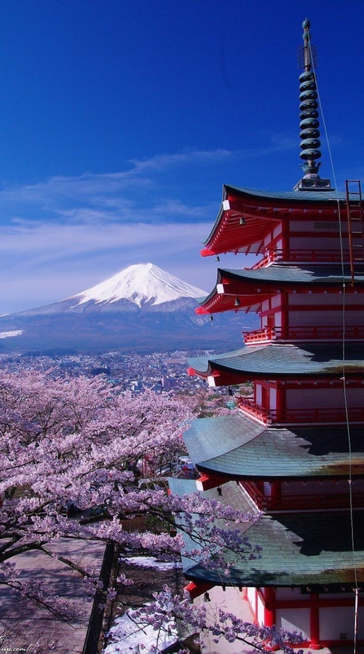 日本🇯🇵東京🎉迪士尼 超優惠 連線代購