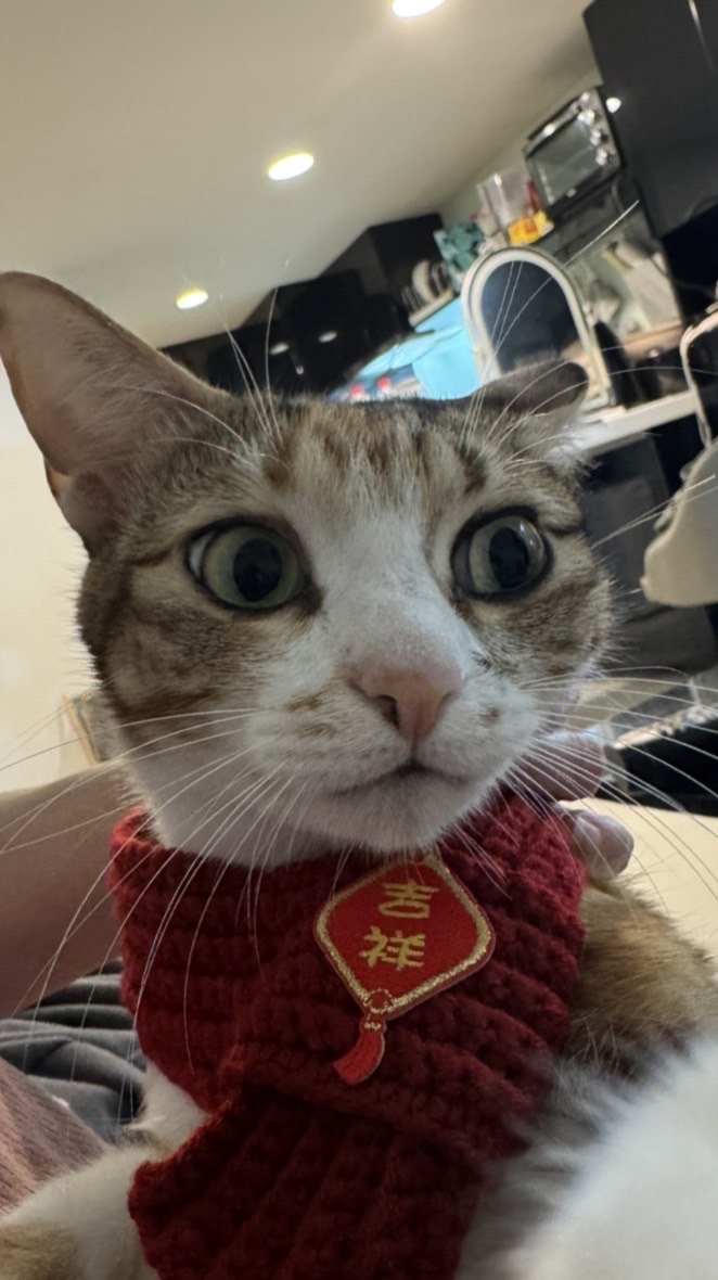 一定瘦！
