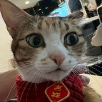 一定瘦！
