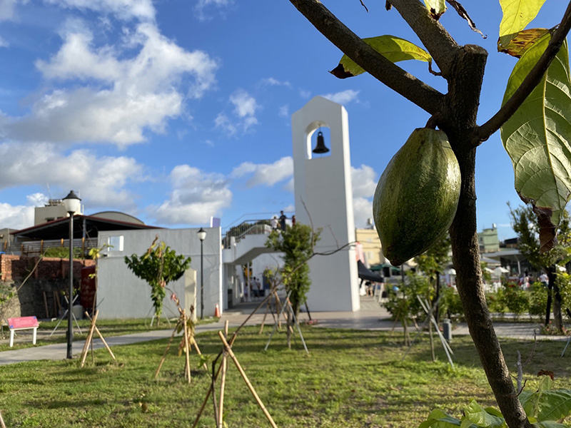 屏東景點推薦「可可園區」！純白教堂、可可市集好玩又好拍，還能體驗當一日可可農！-3