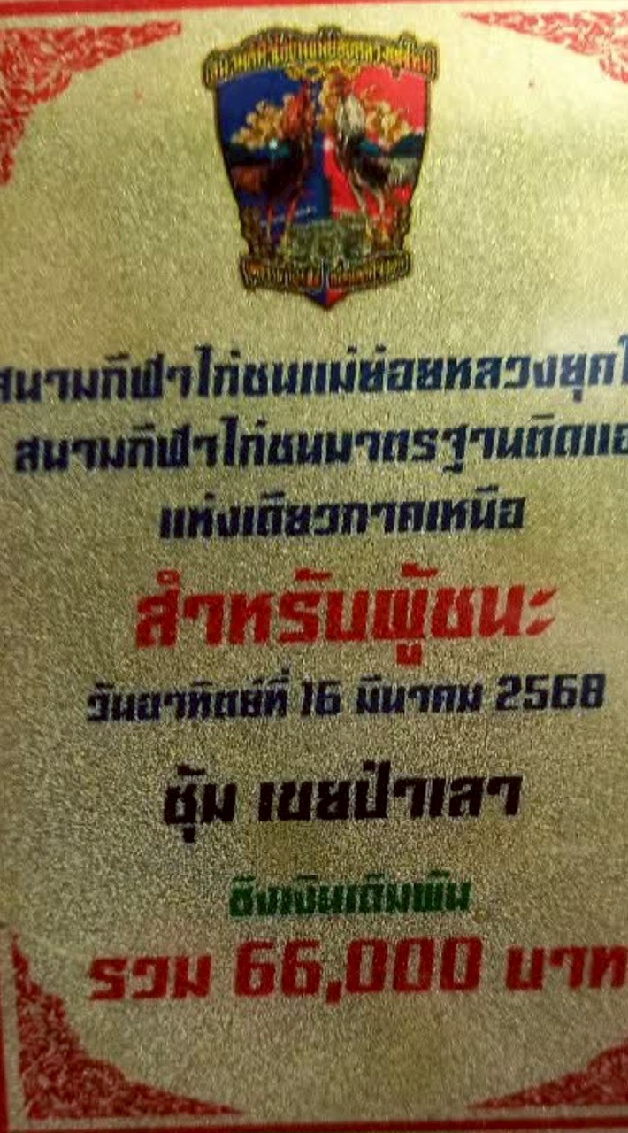 เขยป่าเลา term.