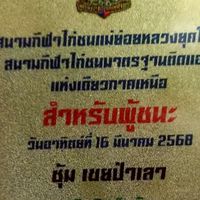 เขยป่าเลา term.