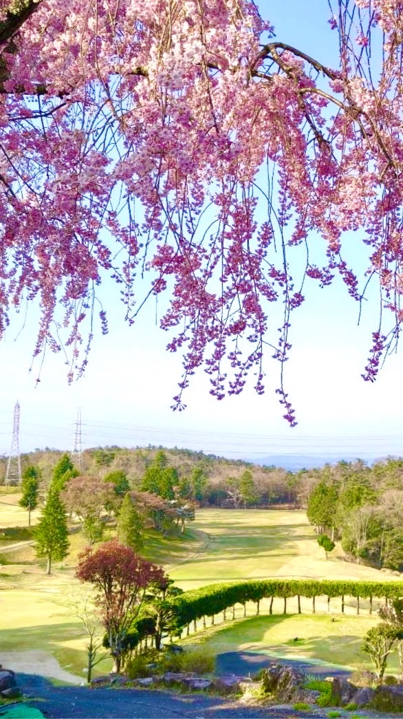 東海ゴルフ向上委員会⛳️愛知・岐阜・三重