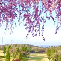 東海ゴルフ向上委員会⛳️愛知・岐阜・三重