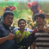 บอล โคราช